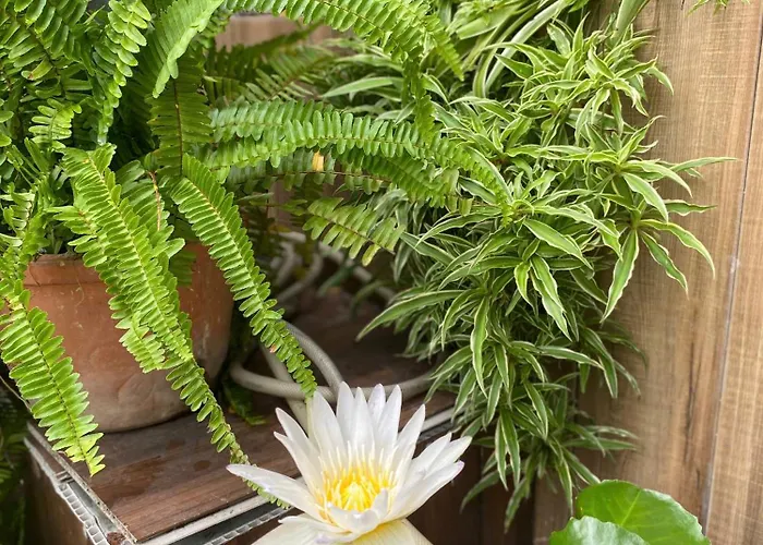 Bee Phan Thiết