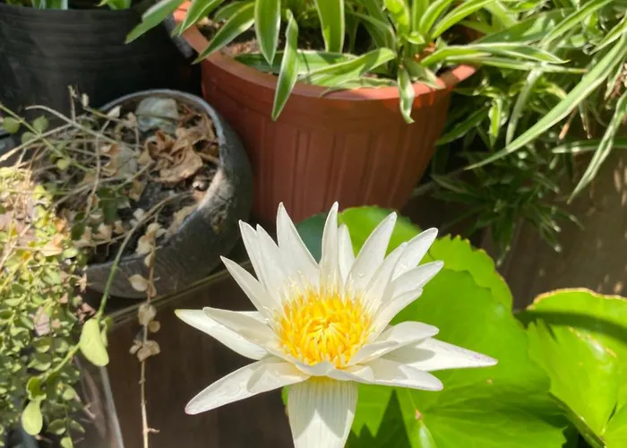 Bee Phan Thiết
